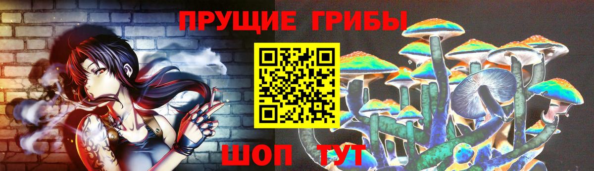 Реутов  Галлюциногенные грибы GOLDEN TEACHER  Вход с VPN 